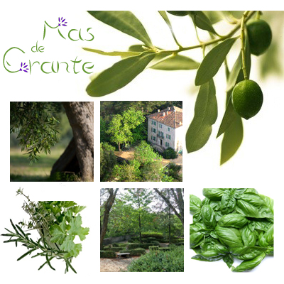Le Mas de Crante: petite histoire